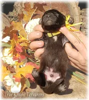 processed/f1124d80-71a2-4cbd-a4fe-5e19f4ee5c94/listing/2b1bd791-320c-4d3b-99bb-caf111d86b70/b248acd1-effc-42d2-91ba-7a2e20c44599