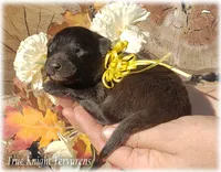 processed/f1124d80-71a2-4cbd-a4fe-5e19f4ee5c94/listing/2b1bd791-320c-4d3b-99bb-caf111d86b70/ce5f39f3-d9c6-41e4-89d2-3d693c9f31ba