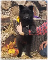 processed/f1124d80-71a2-4cbd-a4fe-5e19f4ee5c94/listing/2b1bd791-320c-4d3b-99bb-caf111d86b70/d16aac10-1c9a-426d-9fc3-b44ec635e21b