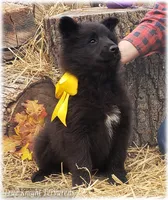 processed/f1124d80-71a2-4cbd-a4fe-5e19f4ee5c94/listing/2b1bd791-320c-4d3b-99bb-caf111d86b70/ff75ba3b-a88c-40b7-9c3d-83c184d69eb0