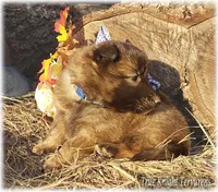 processed/f1124d80-71a2-4cbd-a4fe-5e19f4ee5c94/listing/32278ade-198e-4579-8a07-4bd8ca1e600c/4369f910-85e0-44f0-b34d-36c5f98bc814