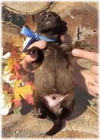 processed/f1124d80-71a2-4cbd-a4fe-5e19f4ee5c94/listing/32278ade-198e-4579-8a07-4bd8ca1e600c/ac3e8c57-9664-4142-95cb-30ea31b23e35