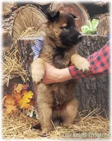 processed/f1124d80-71a2-4cbd-a4fe-5e19f4ee5c94/listing/32278ade-198e-4579-8a07-4bd8ca1e600c/fd9c0da3-bd62-4db6-bff6-98eafcc531f9