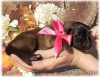 processed/f1124d80-71a2-4cbd-a4fe-5e19f4ee5c94/listing/51deb92f-0111-4b19-86f9-0078cc74084c/0374f875-c902-4085-ae53-f8be4e951367