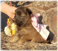 processed/f1124d80-71a2-4cbd-a4fe-5e19f4ee5c94/listing/51deb92f-0111-4b19-86f9-0078cc74084c/208e8ae9-a4c4-4c7b-9403-be28eaec350d