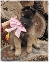 processed/f1124d80-71a2-4cbd-a4fe-5e19f4ee5c94/listing/51deb92f-0111-4b19-86f9-0078cc74084c/5037f8ff-fa4d-4a78-96a2-651d3dbe3a4d