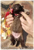 processed/f1124d80-71a2-4cbd-a4fe-5e19f4ee5c94/listing/51deb92f-0111-4b19-86f9-0078cc74084c/743c70e6-7911-4e77-b584-714dccab2fb6