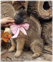 processed/f1124d80-71a2-4cbd-a4fe-5e19f4ee5c94/listing/51deb92f-0111-4b19-86f9-0078cc74084c/ba68d89b-6d8f-4b1b-874d-79f9d4a57896