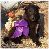 processed/f1124d80-71a2-4cbd-a4fe-5e19f4ee5c94/listing/8336363a-2903-47d1-bfc6-b6d225cb92c3/055fb0ce-5a7a-4ca5-a60f-640871e39a9a