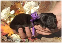 processed/f1124d80-71a2-4cbd-a4fe-5e19f4ee5c94/listing/8336363a-2903-47d1-bfc6-b6d225cb92c3/5b2e2c62-6bb9-42c9-a8a5-1fd1aeef3ce4