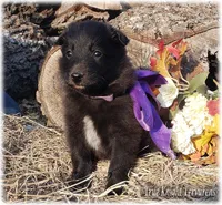 processed/f1124d80-71a2-4cbd-a4fe-5e19f4ee5c94/listing/8336363a-2903-47d1-bfc6-b6d225cb92c3/c4901ba4-bb08-47b7-9e71-c201d573f4ad