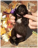 processed/f1124d80-71a2-4cbd-a4fe-5e19f4ee5c94/listing/8336363a-2903-47d1-bfc6-b6d225cb92c3/f5966238-5c4b-40c3-a27c-833d8ce5dbd3