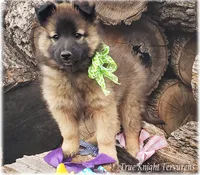 processed/f1124d80-71a2-4cbd-a4fe-5e19f4ee5c94/listing/9edda210-b2b8-44a1-a93f-d60e68d84d71/045a3a02-afac-45c6-b556-49aef7f06c68