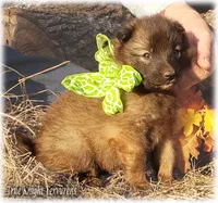 processed/f1124d80-71a2-4cbd-a4fe-5e19f4ee5c94/listing/9edda210-b2b8-44a1-a93f-d60e68d84d71/24d192c5-3ba1-4fb3-872d-77521bebf0c6