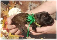 processed/f1124d80-71a2-4cbd-a4fe-5e19f4ee5c94/listing/9edda210-b2b8-44a1-a93f-d60e68d84d71/41b4e512-2637-4649-841c-d630b6dd07fa