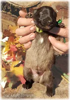 processed/f1124d80-71a2-4cbd-a4fe-5e19f4ee5c94/listing/9edda210-b2b8-44a1-a93f-d60e68d84d71/9ee56276-166b-4711-8005-a49a54eef675