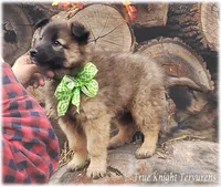 processed/f1124d80-71a2-4cbd-a4fe-5e19f4ee5c94/listing/9edda210-b2b8-44a1-a93f-d60e68d84d71/f150dbf9-9ee2-4fb3-be9f-2fdfbc167502