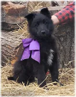 processed/f1124d80-71a2-4cbd-a4fe-5e19f4ee5c94/listing/b4da65db-63f8-4e17-b204-b2a2b6d806ca/3f98a852-b3f2-4fbf-ae5b-0ae5ea2c2337