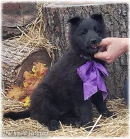 processed/f1124d80-71a2-4cbd-a4fe-5e19f4ee5c94/listing/b4da65db-63f8-4e17-b204-b2a2b6d806ca/d42671ac-1bca-4790-9778-c9e1ab34ebc6