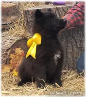 processed/f1124d80-71a2-4cbd-a4fe-5e19f4ee5c94/listing/be761127-c951-467e-a88d-f67e13c9f092/57754bbc-db65-4d40-9440-beb670ee9cb8