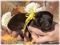 processed/f1124d80-71a2-4cbd-a4fe-5e19f4ee5c94/listing/be761127-c951-467e-a88d-f67e13c9f092/e18103fe-3e3a-4e07-a5c5-c9b1ab0fdeab