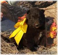 processed/f1124d80-71a2-4cbd-a4fe-5e19f4ee5c94/listing/be761127-c951-467e-a88d-f67e13c9f092/e9cc910b-9eee-47ee-8833-1cf1eb301196