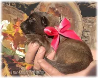 processed/f1124d80-71a2-4cbd-a4fe-5e19f4ee5c94/listing/ce192e9b-a519-4b72-840a-e9b7001baf1c/961b075b-81c9-46f6-8775-401cecdca900