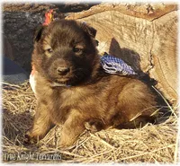 processed/f1124d80-71a2-4cbd-a4fe-5e19f4ee5c94/listing/e68c8bb5-bd0e-4a4b-83f8-ddd2ea63c357/2672b534-40eb-418f-93f7-db0f09d090d8