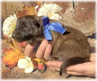 processed/f1124d80-71a2-4cbd-a4fe-5e19f4ee5c94/listing/e68c8bb5-bd0e-4a4b-83f8-ddd2ea63c357/3864299e-f455-418f-b1ce-b4b20de97c03