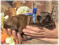 processed/f1124d80-71a2-4cbd-a4fe-5e19f4ee5c94/listing/e68c8bb5-bd0e-4a4b-83f8-ddd2ea63c357/5c5662f6-9cb7-44b9-90f0-6c3189974784