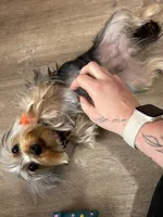 processed/f11a060c-f455-42c6-bd94-decdc0eb349b/listing/a8677c66-11e3-4223-a62f-de7d0c858536/81fd8875-40d8-4a2b-aeb3-da45e99baa02