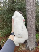 processed/f12c59d9-e4fa-40e9-a06d-e5ad9791f99a/listing/b3e29e8a-1ad5-4888-a9c4-340a7a0e0d29/3e502ab2-7702-492a-9921-f34dfef73ae7