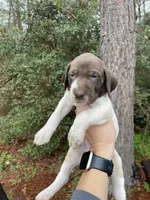 processed/f12c59d9-e4fa-40e9-a06d-e5ad9791f99a/listing/b3e29e8a-1ad5-4888-a9c4-340a7a0e0d29/f04283bd-4c58-4847-857e-2e8eaa2dcf4d