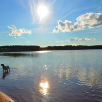 processed/f13a3a2f-21d6-41b4-83bb-6e23f1274739/facility/358235ed-3e5d-46eb-a46e-6125c8fca6a0