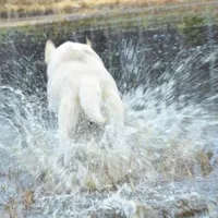 processed/f13a3a2f-21d6-41b4-83bb-6e23f1274739/facility/5c3783e2-2f9e-4a63-9ab1-e5747422f6d3