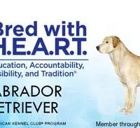 processed/f13a3a2f-21d6-41b4-83bb-6e23f1274739/facility/90933a03-5f81-45ce-99e3-a08dc6fcec51