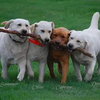 processed/f13a3a2f-21d6-41b4-83bb-6e23f1274739/facility/f6517e5a-5a1f-4689-b176-6e33c5a9006d