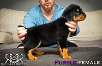 processed/f148e671-8391-41e6-a076-1f0eec3de304/listing/5ae54a86-27f2-4edf-9d0d-e63d41487162/24354a35-4bd9-4782-826c-1bee0c7a0297