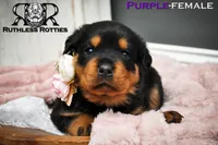 processed/f148e671-8391-41e6-a076-1f0eec3de304/listing/5ae54a86-27f2-4edf-9d0d-e63d41487162/48395834-bf29-4b23-a4a8-56040e9437dd