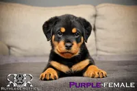 processed/f148e671-8391-41e6-a076-1f0eec3de304/listing/5ae54a86-27f2-4edf-9d0d-e63d41487162/57b97899-b5c6-49b1-923a-e608ebd9fb6f