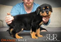 processed/f148e671-8391-41e6-a076-1f0eec3de304/listing/c0507000-fedf-488e-8799-013ad3a2fed6/31c6cd90-b5b1-4b84-bbc4-fa10d5e291e9