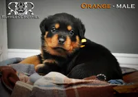 processed/f148e671-8391-41e6-a076-1f0eec3de304/listing/c0507000-fedf-488e-8799-013ad3a2fed6/53b3956e-246a-4d38-bef3-bc8288f2ffa7