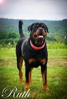 processed/f148e671-8391-41e6-a076-1f0eec3de304/listing/c0507000-fedf-488e-8799-013ad3a2fed6/6341d3ef-8737-487e-9511-e69ecc81bdd9