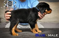 processed/f148e671-8391-41e6-a076-1f0eec3de304/listing/d4bb8118-42b9-43dc-b9c2-39bac33cffbc/53e0d628-4085-40cf-bee7-7c95d5434980