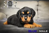 processed/f148e671-8391-41e6-a076-1f0eec3de304/listing/d4bb8118-42b9-43dc-b9c2-39bac33cffbc/9131891c-0d1a-4435-b09f-614fca9c4a5a