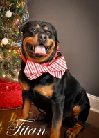 processed/f148e671-8391-41e6-a076-1f0eec3de304/listing/d4bb8118-42b9-43dc-b9c2-39bac33cffbc/a8482c3c-02ac-43d0-93f2-d0eae0ca072b