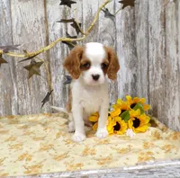 processed/f14b5772-c6ab-41dd-bb59-8e4636f207d3/facility/414e655e-9c58-4615-86b5-445697b7b278