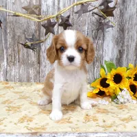 processed/f14b5772-c6ab-41dd-bb59-8e4636f207d3/facility/46c613d4-94c0-4aad-91ee-43158be56b8b