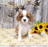 processed/f14b5772-c6ab-41dd-bb59-8e4636f207d3/facility/46c613d4-94c0-4aad-91ee-43158be56b8b