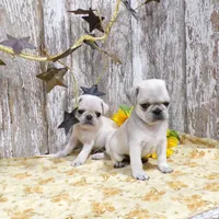 processed/f14b5772-c6ab-41dd-bb59-8e4636f207d3/facility/53c908df-c965-426c-bdf1-16af28ee603c